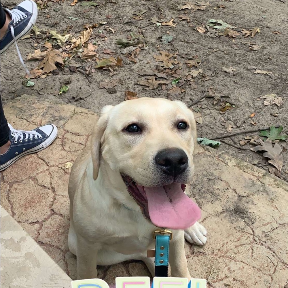 Meet your Posher, Jordan